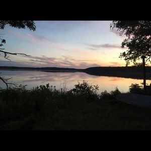 Meet your Posher, Molly